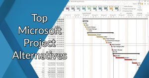 Microsoft Project Management Software
