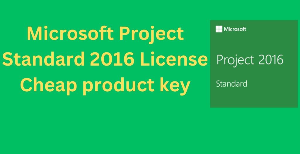 Microsoft Project Standard 2016 License