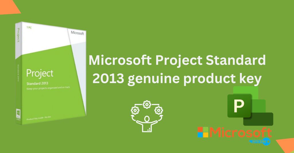 Project Standard 2013 genuine product