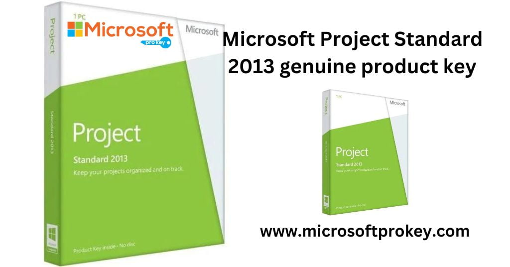 Microsoft Project Standard 2013